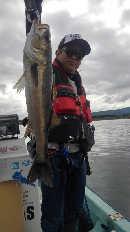 アマテラス 釣果