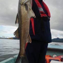 アマテラス 釣果