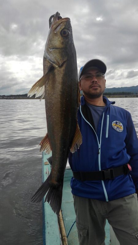 アマテラス 釣果