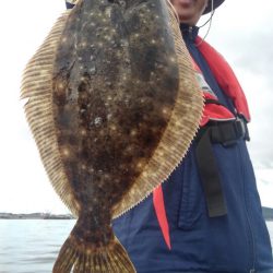 アマテラス 釣果