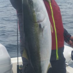 ブルドック 釣果