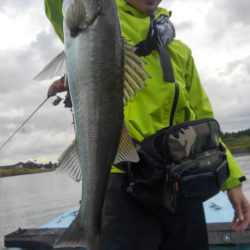 アマテラス 釣果