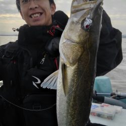 アマテラス 釣果