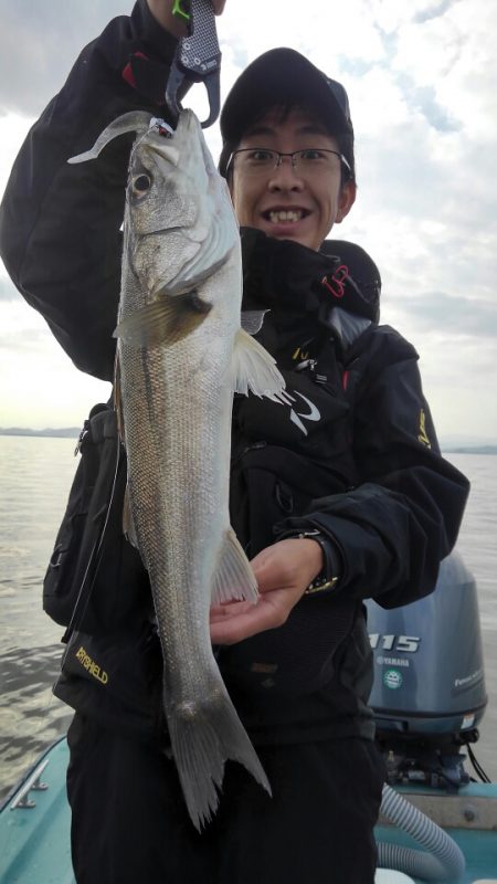 アマテラス 釣果