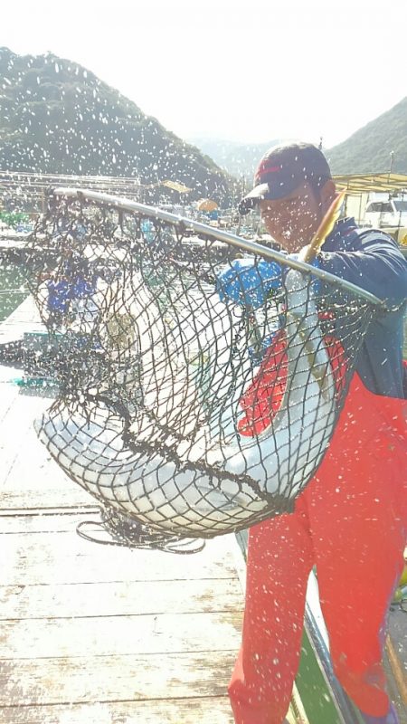 海の釣堀 海恵 釣果