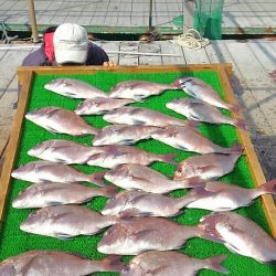 海の釣堀 海恵 釣果