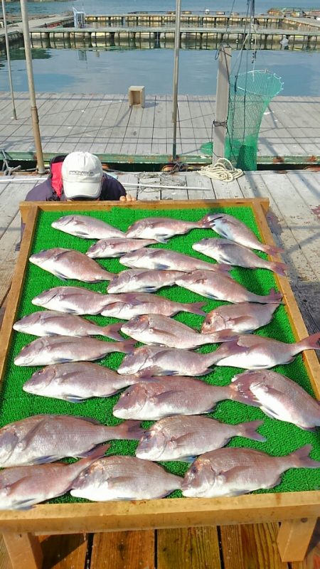 海の釣堀 海恵 釣果