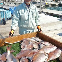 海の釣堀 海恵 釣果
