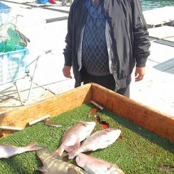 海の釣堀 海恵 釣果