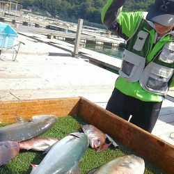 海の釣堀 海恵 釣果