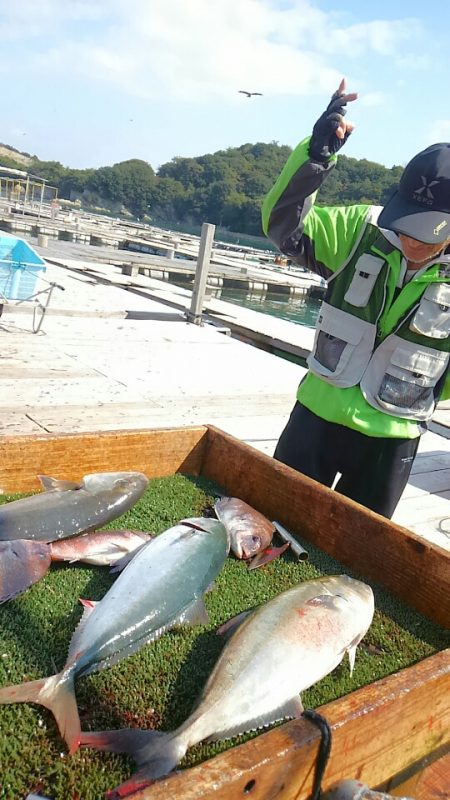 海の釣堀 海恵 釣果
