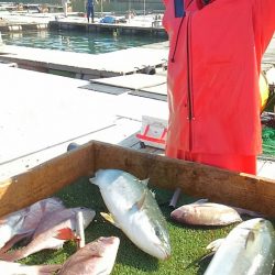 海の釣堀 海恵 釣果