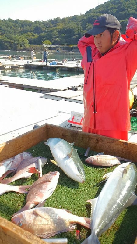海の釣堀 海恵 釣果