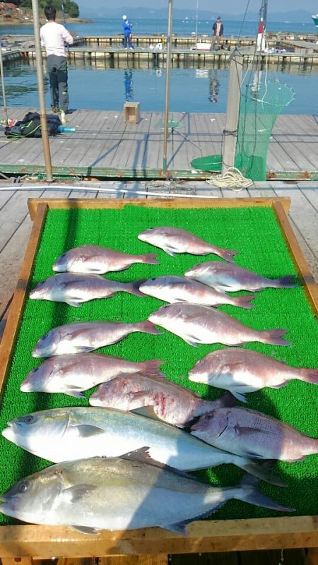 海の釣堀 海恵 釣果