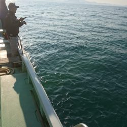 あみや渡船 JIGBOY 釣果