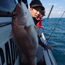 ARCADIAⅡ (アルカディアⅡ) 釣果