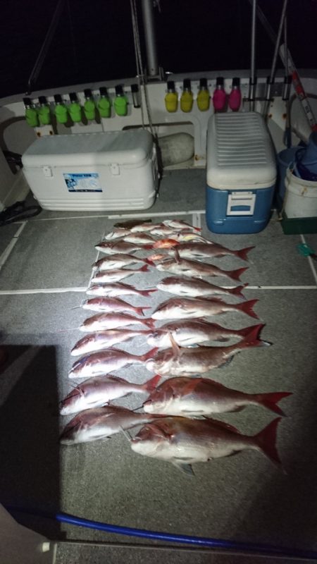 ARCADIAⅡ (アルカディアⅡ) 釣果