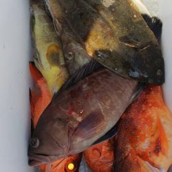 第二龍勢丸 釣果