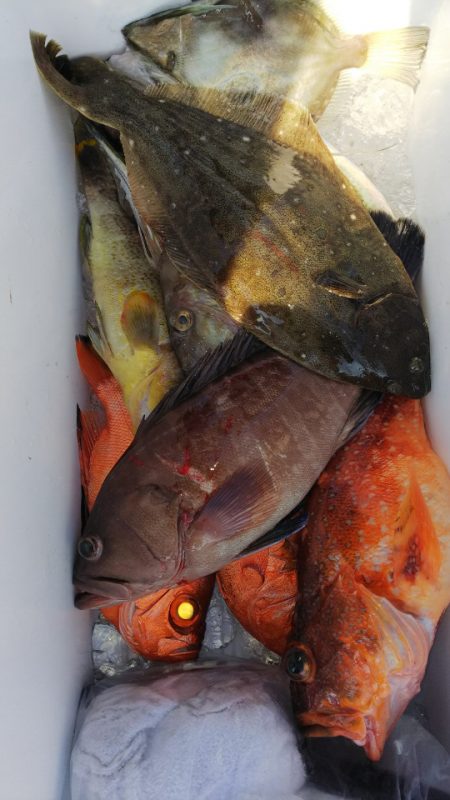 第二龍勢丸 釣果