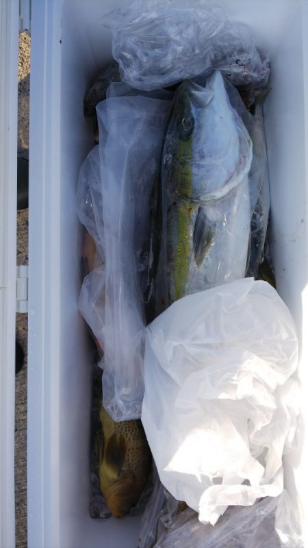 第二龍勢丸 釣果