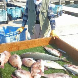海の釣堀 海恵 釣果