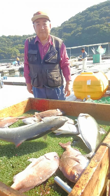 海の釣堀 海恵 釣果