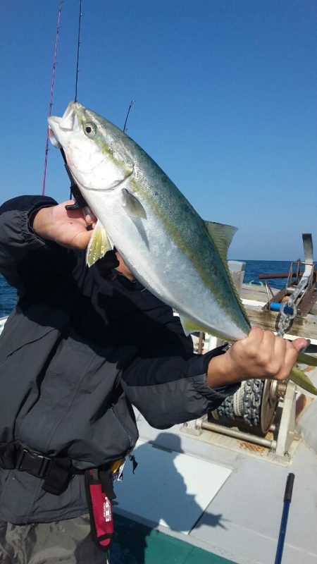 鷹王丸 釣果
