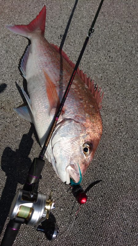 ARCADIAⅡ (アルカディアⅡ) 釣果