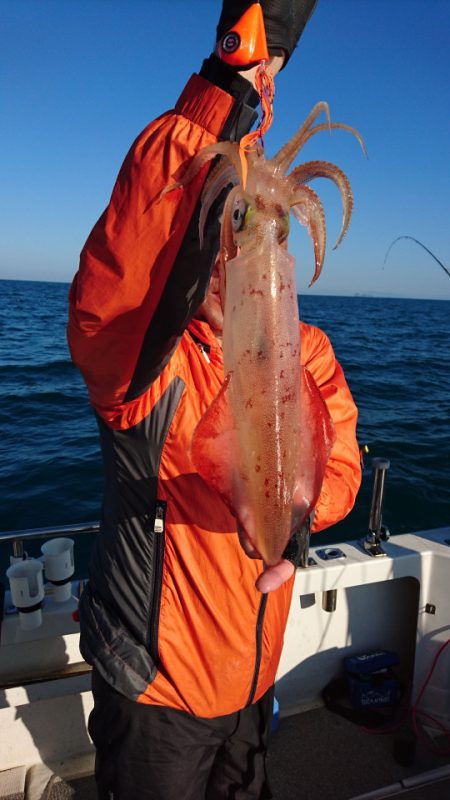 ARCADIAⅡ (アルカディアⅡ) 釣果