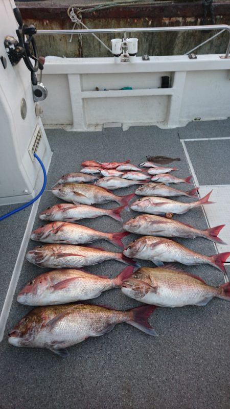 ARCADIAⅡ (アルカディアⅡ) 釣果