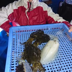 第三共栄丸 釣果