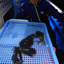 第三共栄丸 釣果