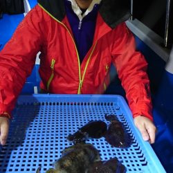 第三共栄丸 釣果