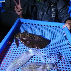 第三共栄丸 釣果