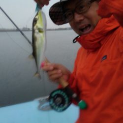 アマテラス 釣果