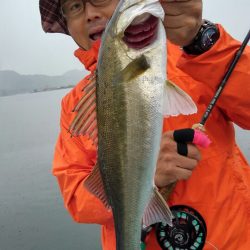 アマテラス 釣果