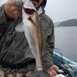 アマテラス 釣果