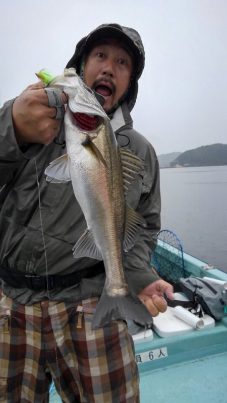 アマテラス 釣果