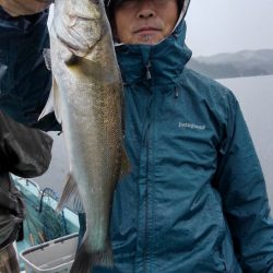 アマテラス 釣果