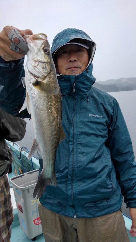 アマテラス 釣果