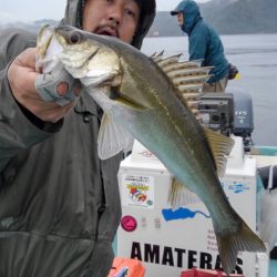 アマテラス 釣果