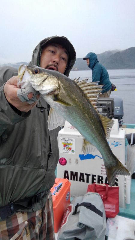 アマテラス 釣果