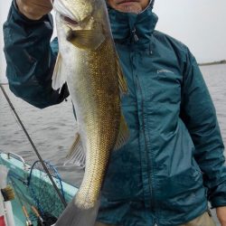 アマテラス 釣果