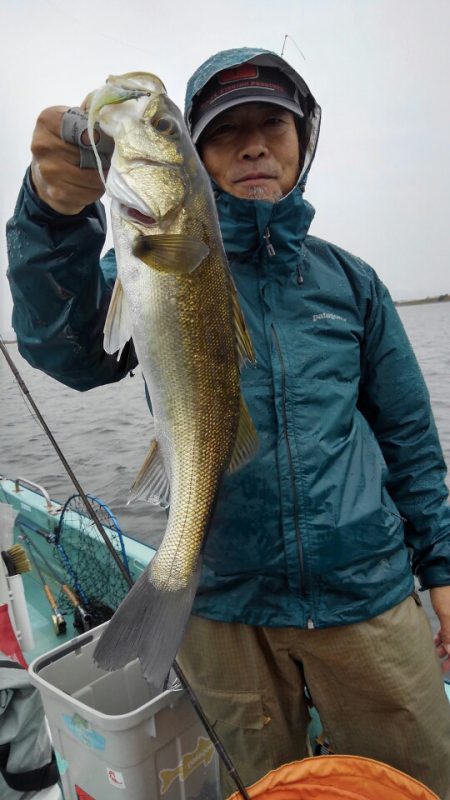 アマテラス 釣果