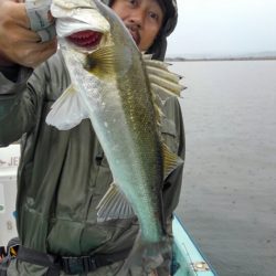 アマテラス 釣果