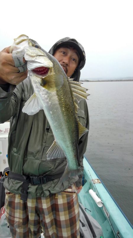 アマテラス 釣果