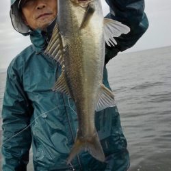 アマテラス 釣果