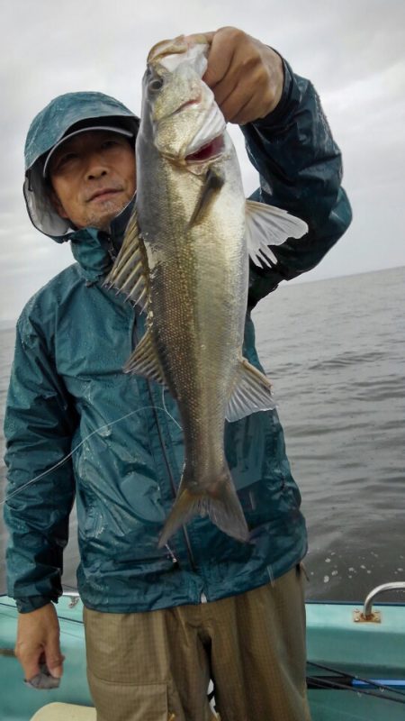 アマテラス 釣果