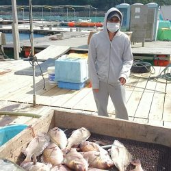 海の釣堀 海恵 釣果