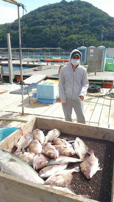 海の釣堀 海恵 釣果